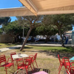 Heladería Cafetería CARAPINO - Cafetería en Chiclana de la Frontera AF1QipMVLMU5qXEhax7nM1ihSP-NCpzP88Vbv3drVsEl=w408-h544-k-no