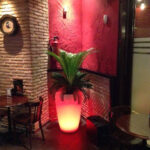 Café Bar Harrow - Cafetería en Murcia AF1QipMYmQ8MEBJDM7-w1zS4WnJn6-Mjn8u8R8lhpVMQ=w408-h544-k-no