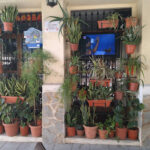 Café Pub El Refugio - Cafetería en Elda AF1QipN6M-JiT6QrfZWWuIBN45Q895lvztGAHOxhjTIM=w408-h306-k-no