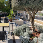 Cafetería del Rectorado - Cafetería en Córdoba AF1QipNNjAIMQK2OTXqy66ru9HhsrCAWAkEZtgB_y3Q=w408-h544-k-no