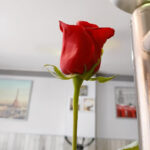 El Altillo Café Bar - Cafetería en Palma de Mallorca AF1QipNRXp1ZAbrrwgK6QX2z4ozJa6CNPGT_4fei1e6p=w408-h544-k-no