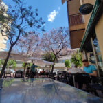Cafetería Mediterráneo - Cafetería en Murcia AF1QipNRqJHsLKEFfDdEfjdnxVmtAFlVey1r89Fg1kNj=w408-h306-k-no