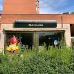 Cafetería La Marivela - Cafetería en Tres Cantos AF1QipNpZbL-t__M5IOcHtzvAktqG0hZDdlfrvFxXKCB=w408-h306-k-no