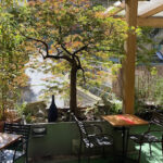 Van Gogh Café - Cafetería en Vigo AF1QipNuGx2Xrd7XxNs87TiE_yMlMW0WQbggprgZn8pu=w427-h240-k-no