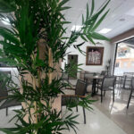 Café Marbella - Cafetería en Alcalá de Guadaíra AF1QipO3cQm7x-1Sai6uN-_K0x_U4xc4wtCz-xwGgIih=w408-h510-k-no