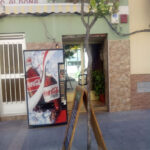 Café Bar Yoaldona - Cafetería en Lorca AF1QipO4UzFXQcle1AuVZ8OJI_qh333eDCFaDEloS2QU=w408-h544-k-no