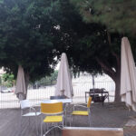 Cafetería del Archivo Regional de Murcia - Cafetería en Murcia AF1QipOmhQrFJAfR-_dNBSnTS44mMhyXK3U-ani1NT82=w408-h306-k-no