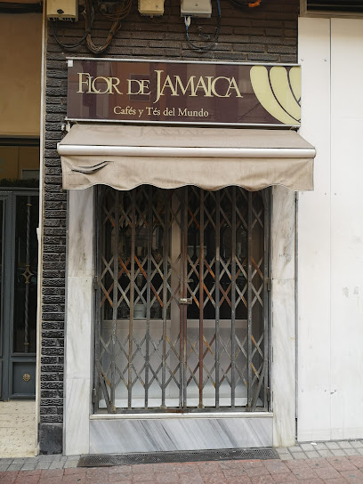 Foto Flor De Jamaica