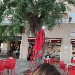 Pasteleria La Trufa - Cafetería en Puerto Real AF1QipP8dopFRlA1rBgacSLlHZ9U1eO0ZIH8Fpm6ac_F=w426-h240-k-no