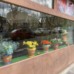 Cafetería Taperia Jp - Cafetería en Ourense, Orense AF1QipPEoSfwA5DlXhWaXi-Qk-Ob9X7PsnkunMfvEQeE=w408-h306-k-no