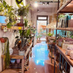 Tulip Cafè i Flors | Floristería Granollers - Cafetería en Granollers AF1QipPOT-tm0QXahPw3QSw6aLhjeQ94R2FAkwm-XDPo=w408-h725-k-no