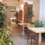 Kopp F&C, Plaça Paeria, Lleida - Cafetería en Lérida AF1QipPbHET4Psj1FJzg8a5vEx-t-kBUk6ISHNWACvYj=w426-h240-k-no