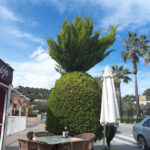 Cafeteria Sol 2000 - Cafetería en Santa Ponsa AF1QipPnaToCYH4oVkzTwqdU4BkprvBT8hDK1aLZtIbg=w408-h544-k-no